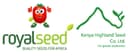 Royal Seed
